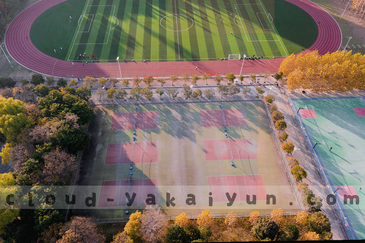 抽象赔率看板与折线图，冷青色发光，画面无真实赔率数字